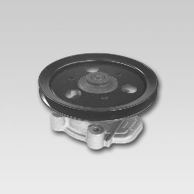 Waterpomp Hepu P787