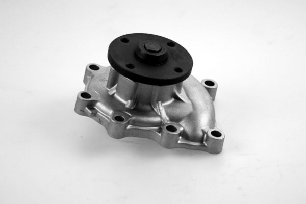 Hepu Waterpomp P7980