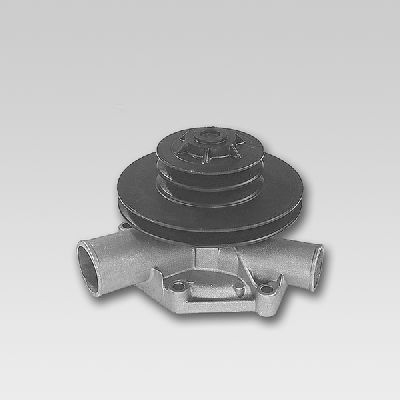 Waterpomp Hepu P826
