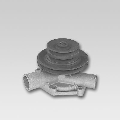 Waterpomp Hepu P863