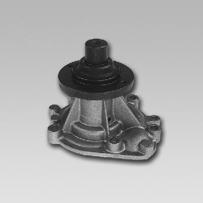Waterpomp Hepu P975