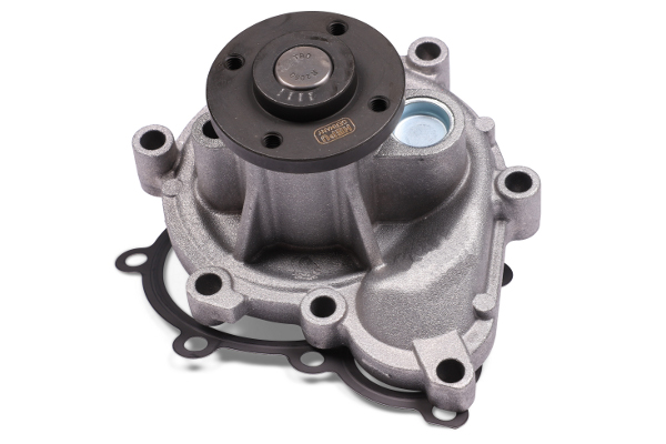 Waterpomp Hepu P983