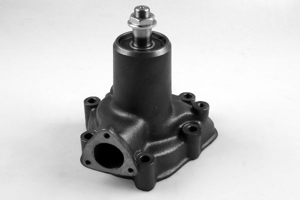 Waterpomp Hepu P9909