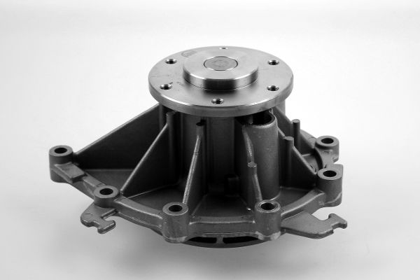 Waterpomp Hepu P9958