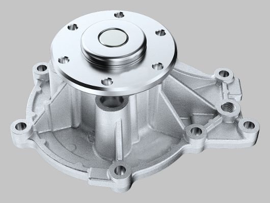 Waterpomp Hepu P9959