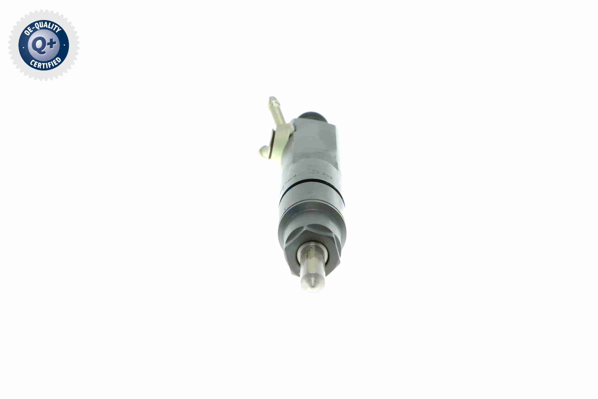 Vemo Verstuiverneus V10-11-0831