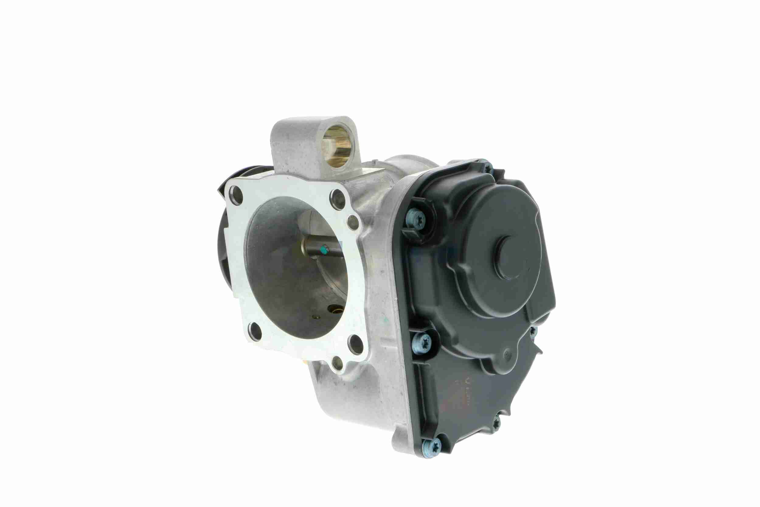 Vemo Gasklephuis V10-81-0019