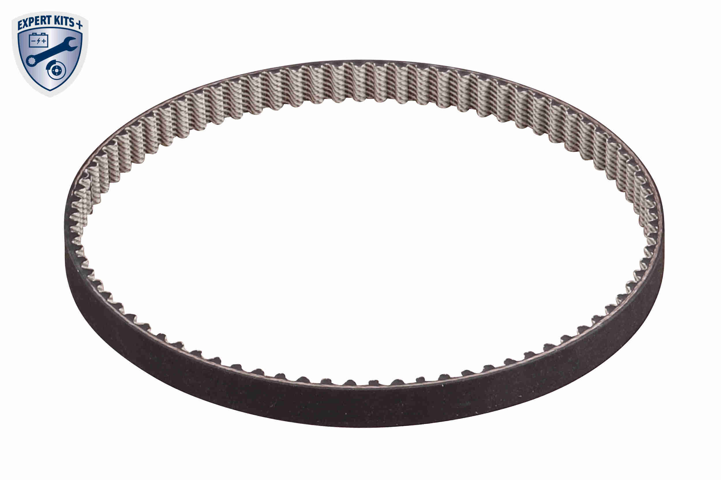 Vemo Distributieriem kit inclusief waterpomp V15-99-2129