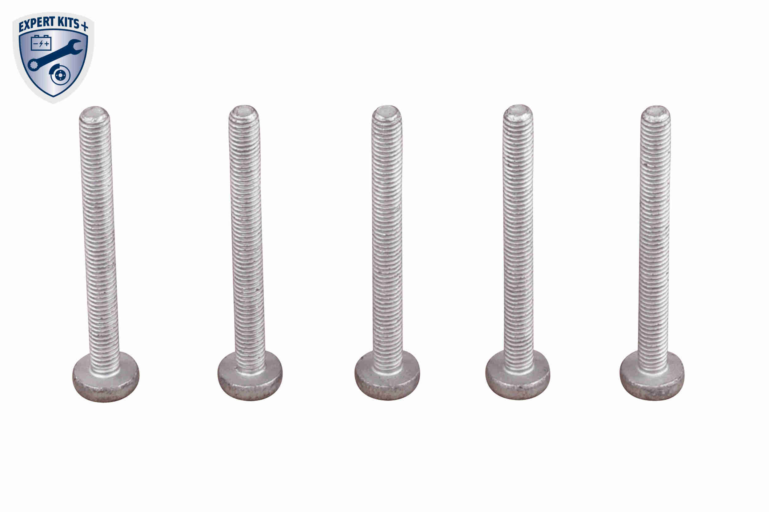 Vemo Distributieriem kit inclusief waterpomp V15-99-2129