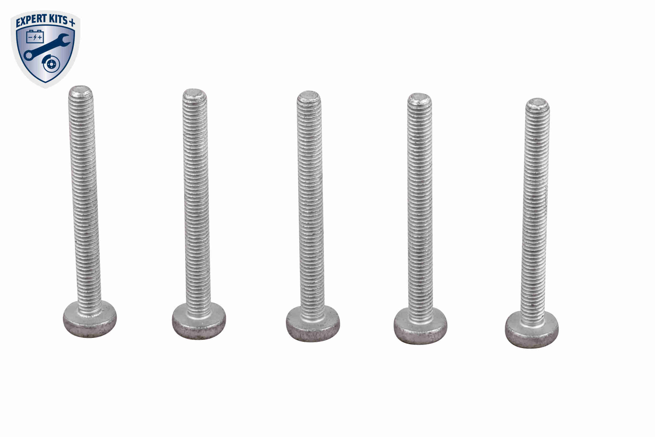 Vemo Distributieriem kit inclusief waterpomp V15-99-2130