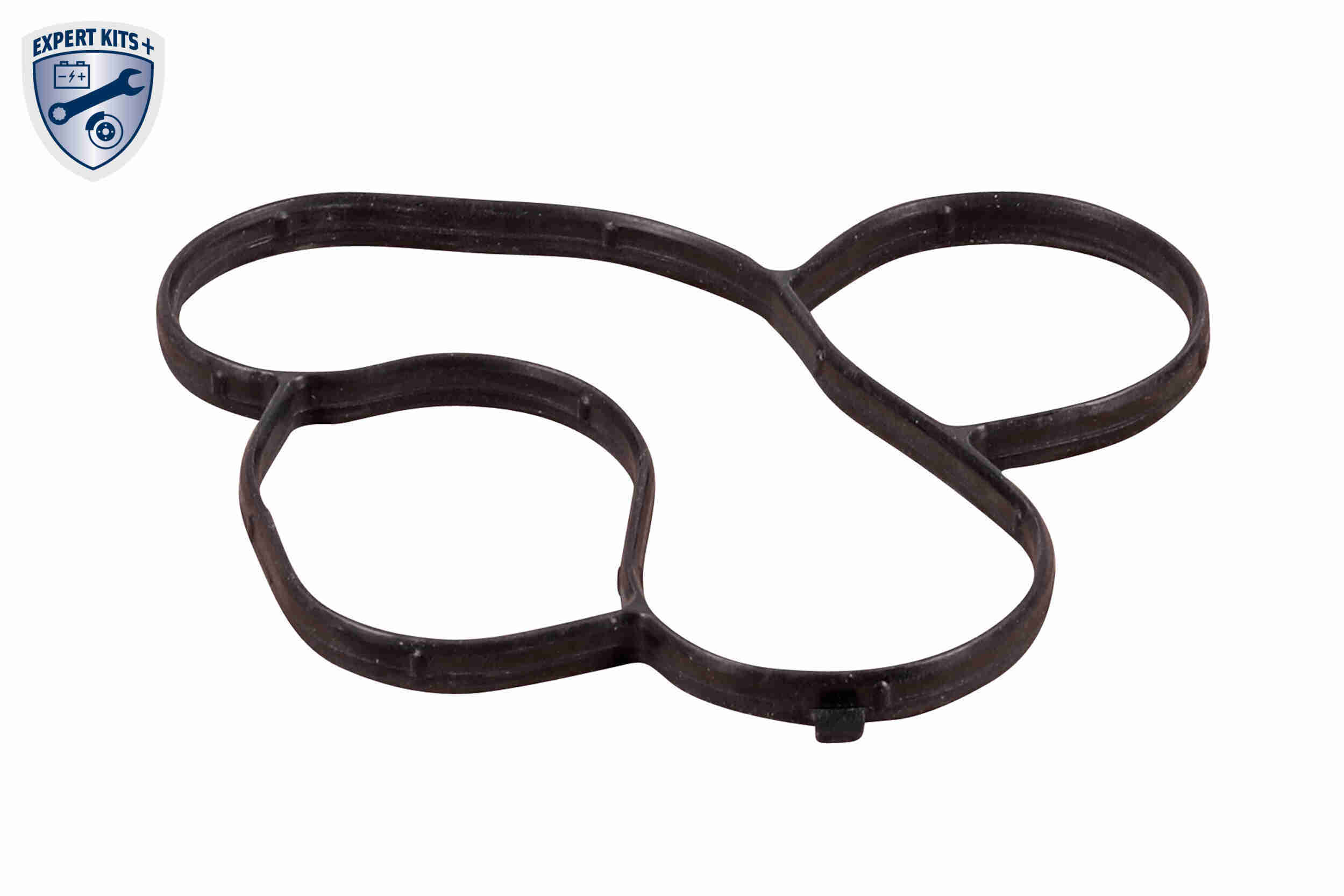 Vemo Distributieriem kit inclusief waterpomp V15-99-2130