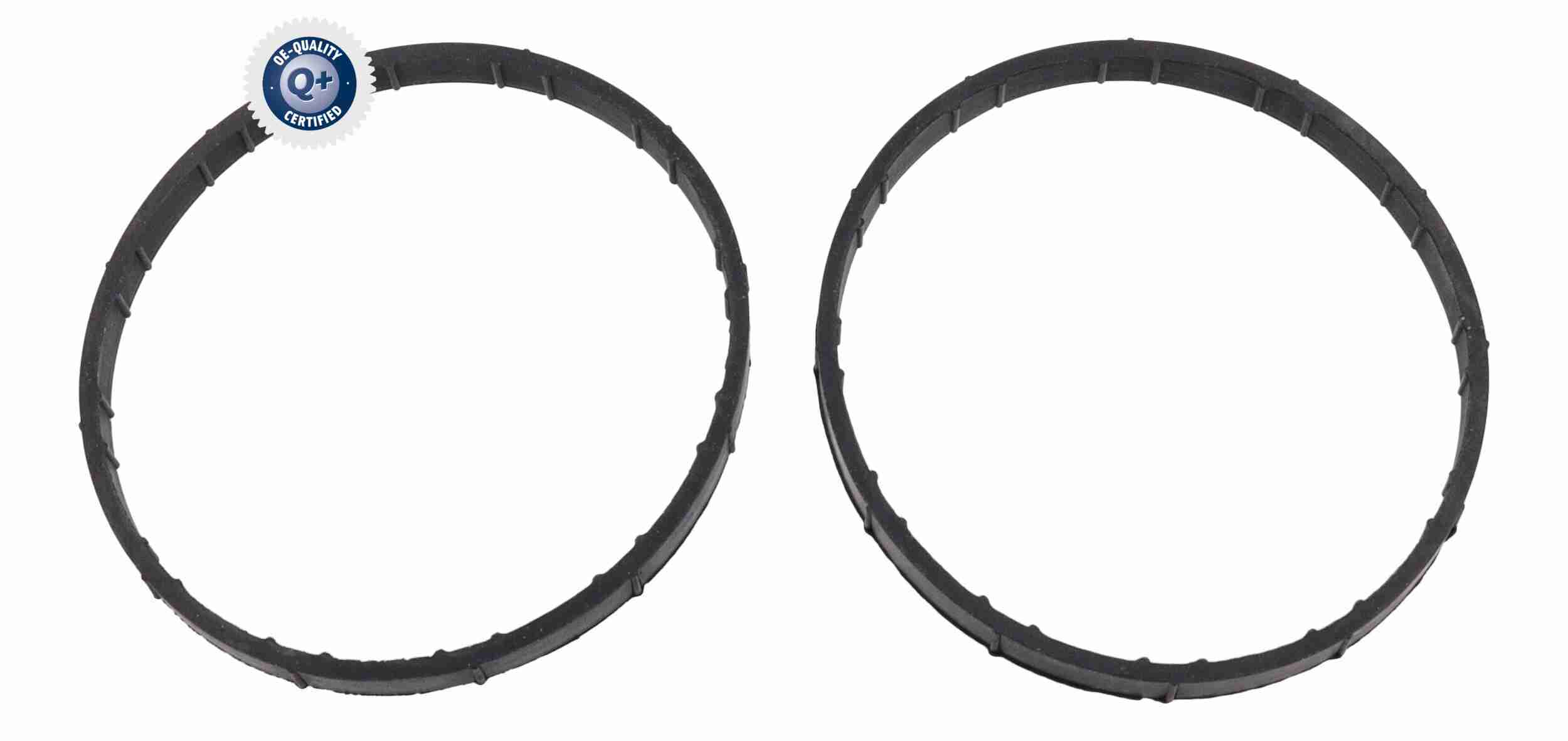 Vemo Gasklephuis V20-81-0026