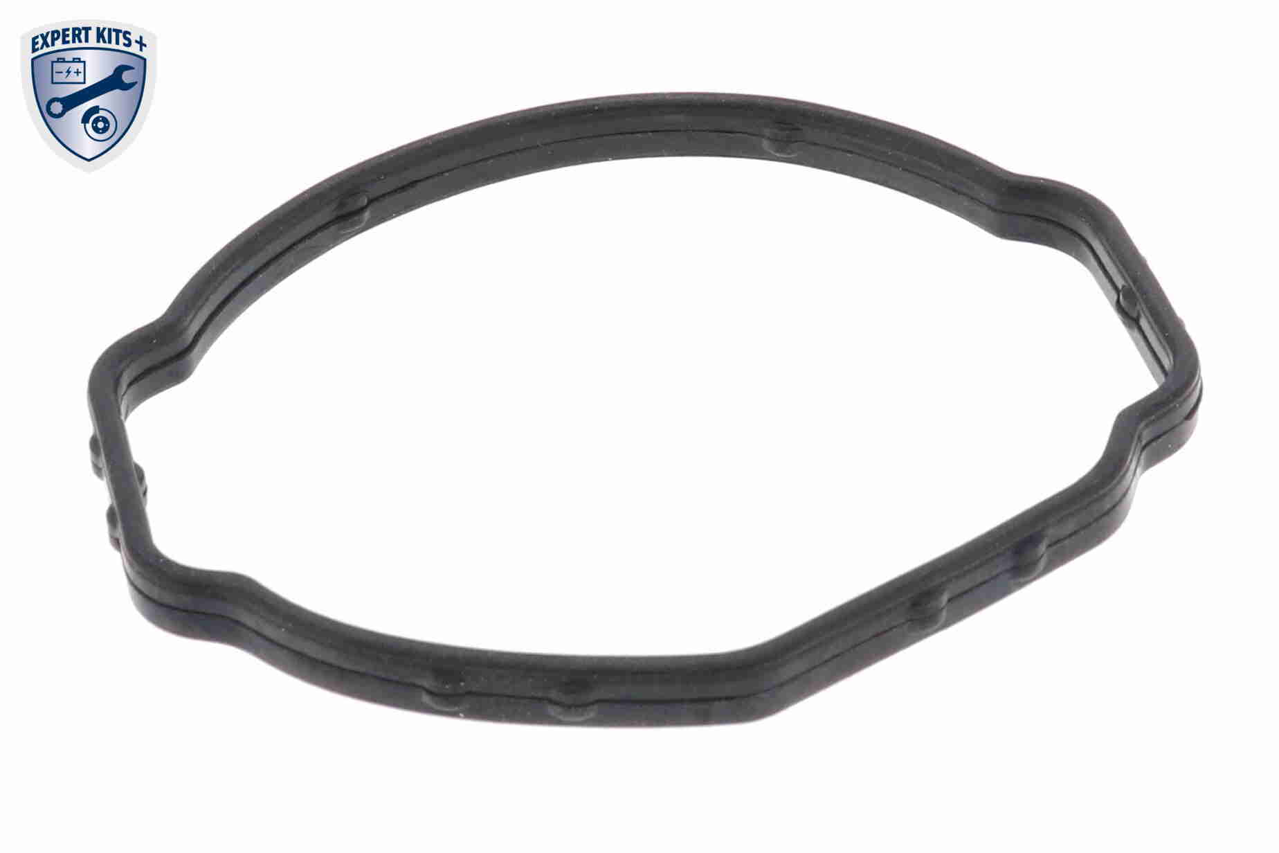 Vemo Thermostaathuis V20-99-1305