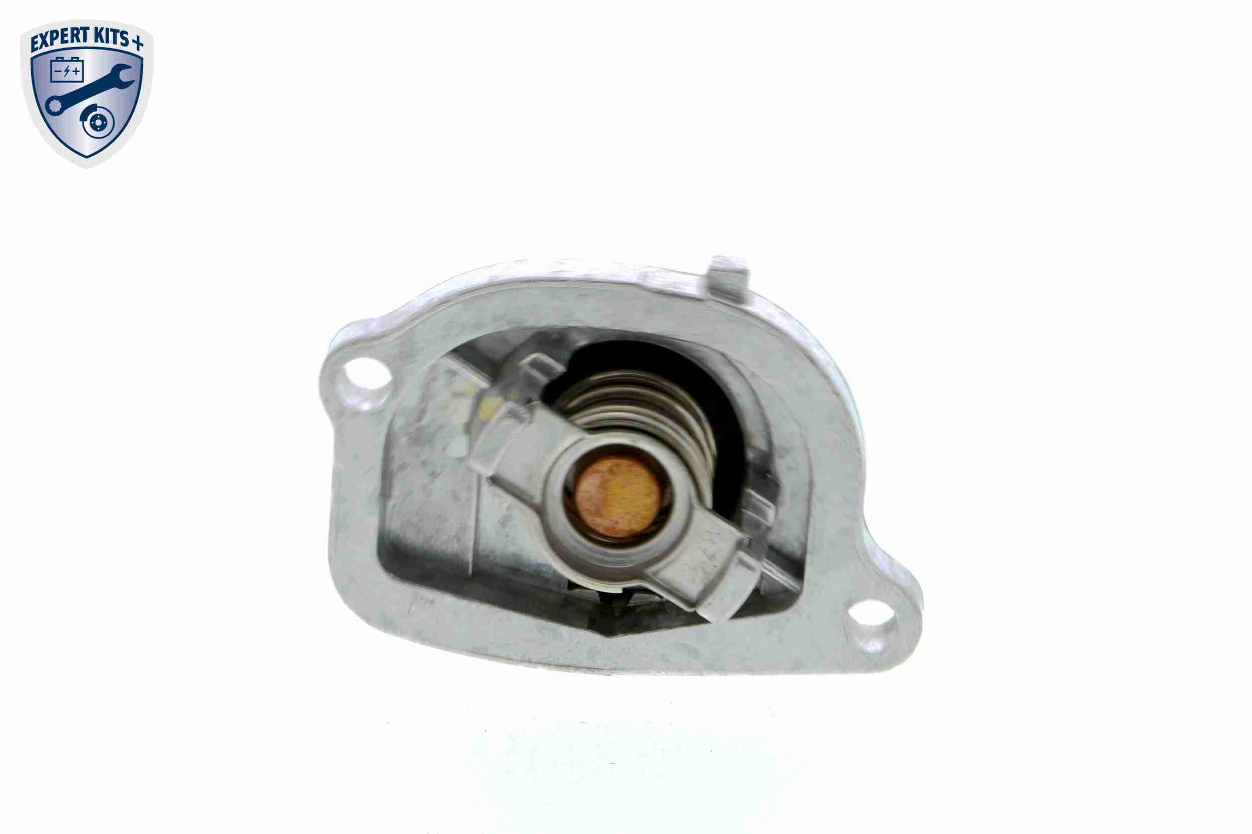 Vemo Thermostaathuis V24-99-0019