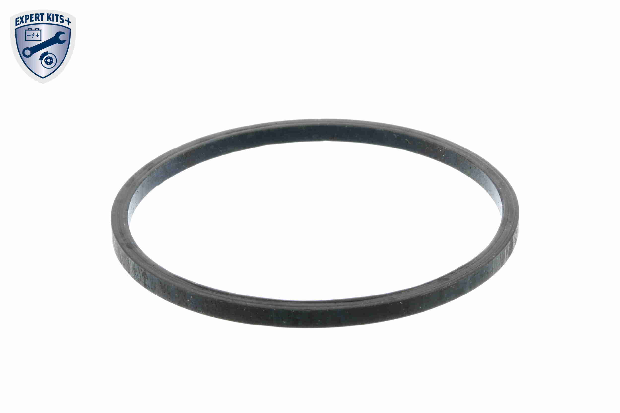 Vemo Thermostaathuis V24-99-0029