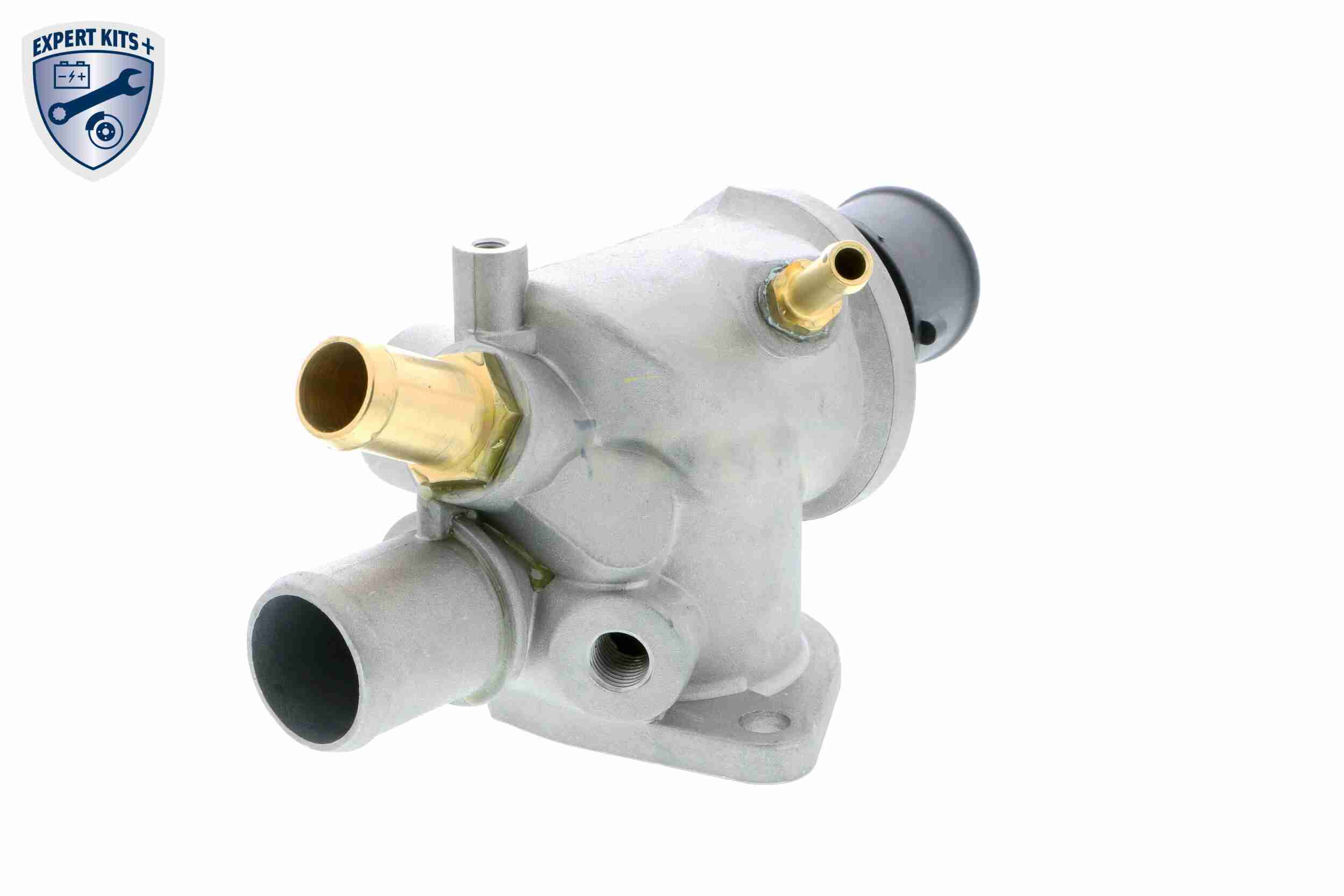 Vemo Thermostaathuis V24-99-0046