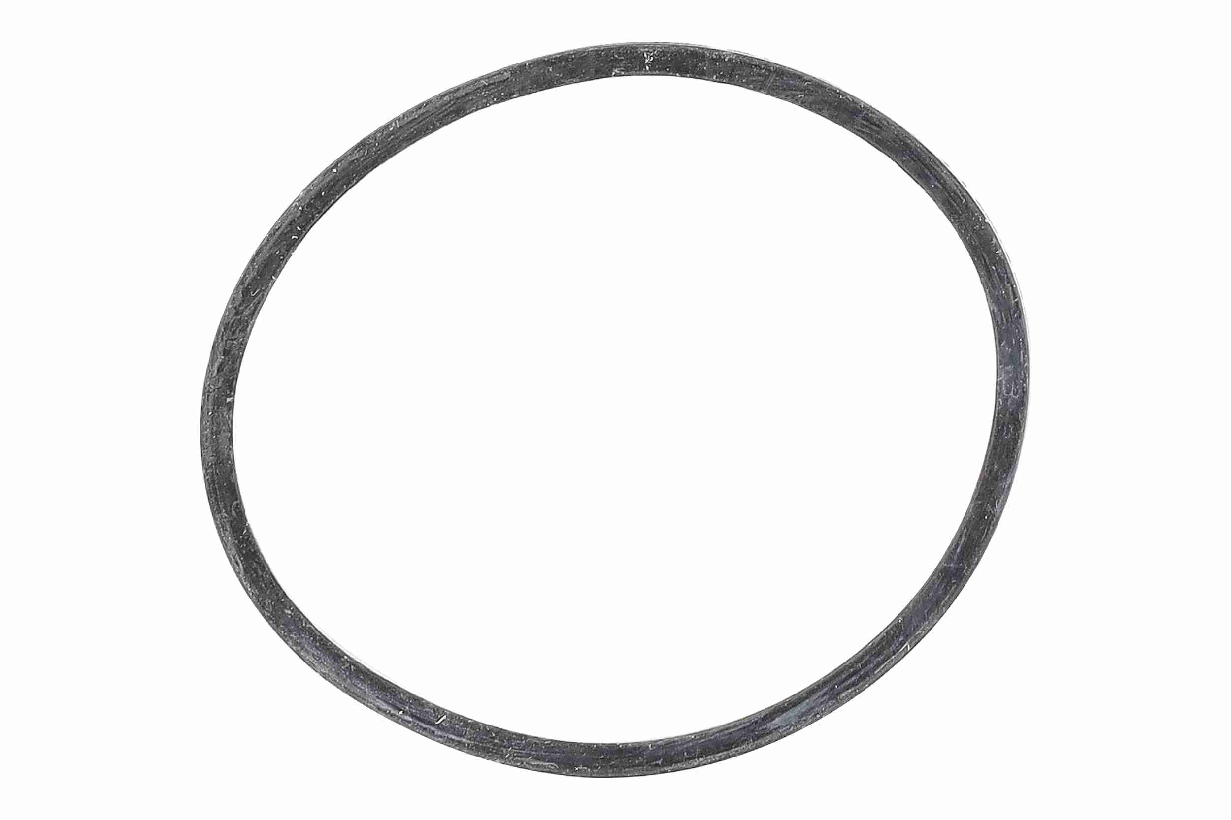 Vemo Thermostaathuis V24-99-0051