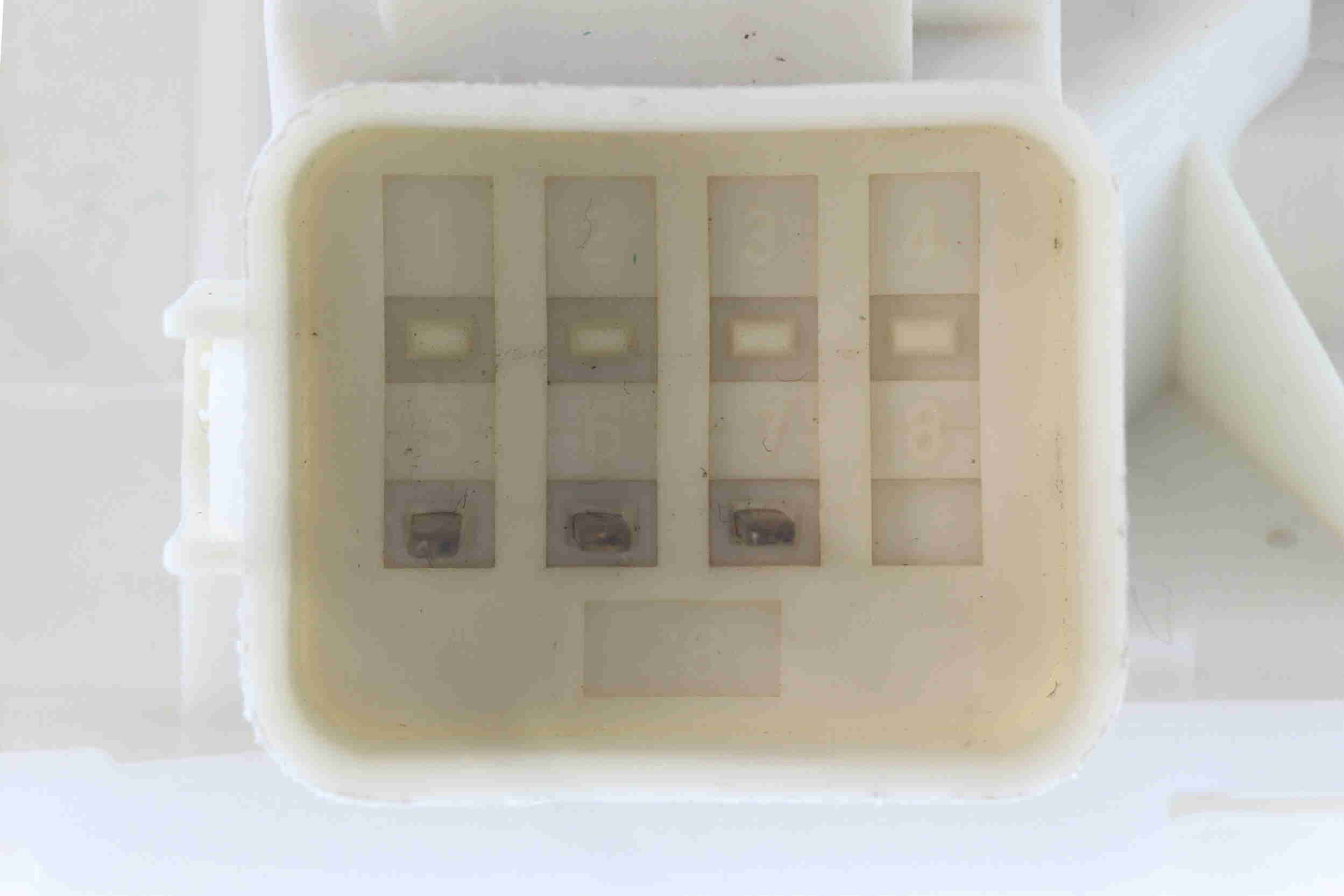 Vemo Deurslot V25-85-0044