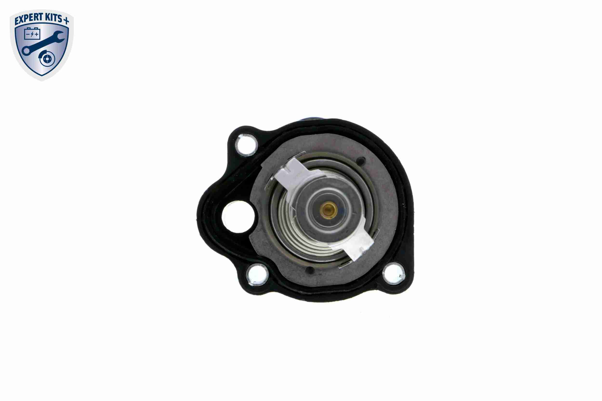 Vemo Thermostaathuis V25-99-1732