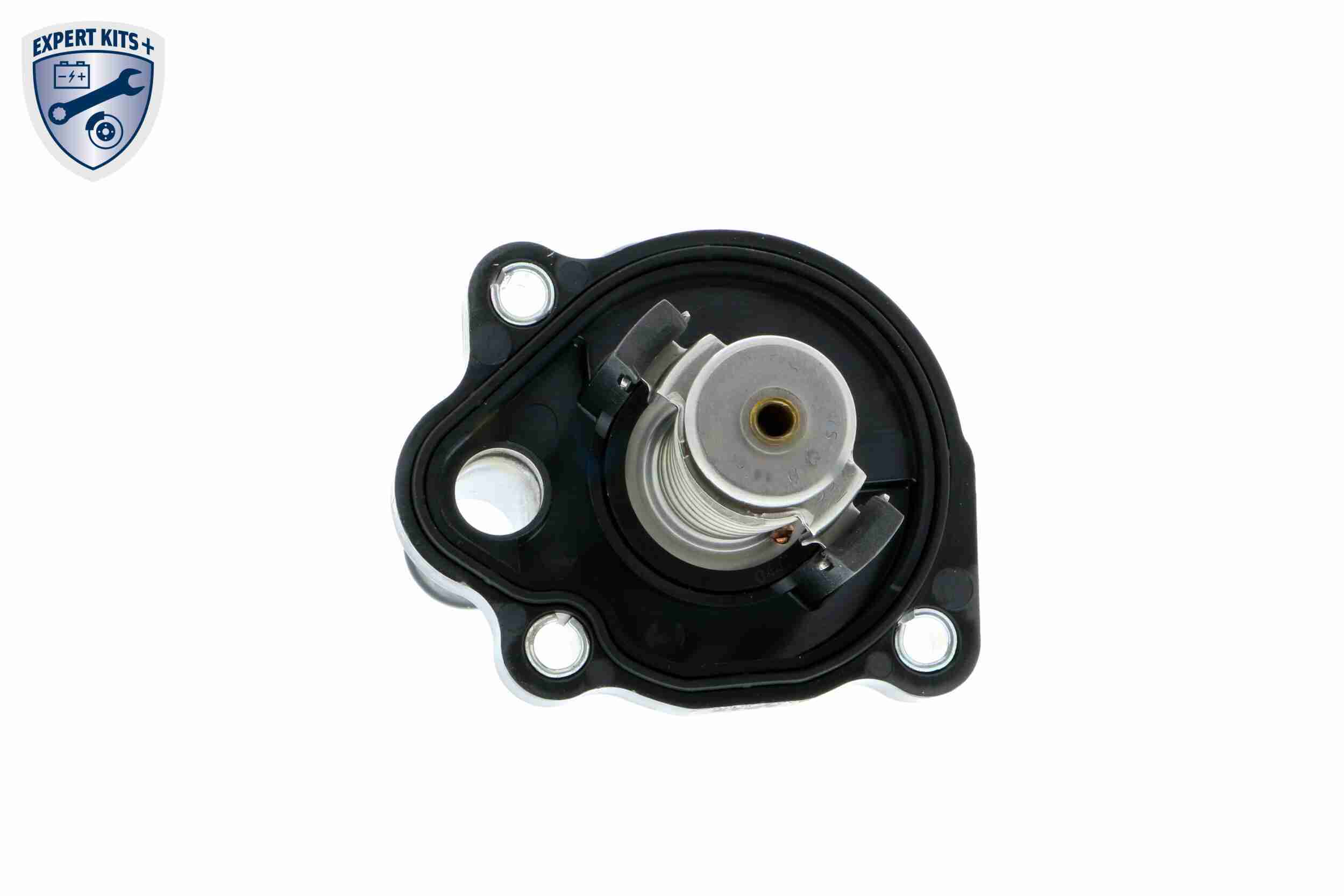 Vemo Thermostaathuis V25-99-1737