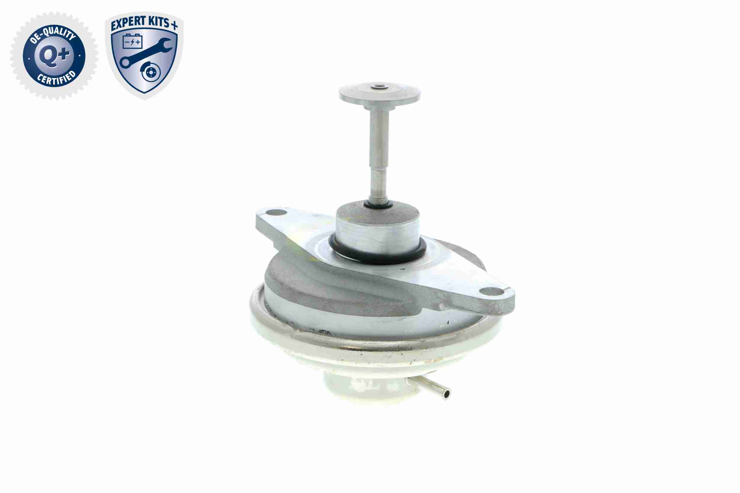 Vemo EGR-klep V40-63-0024-1