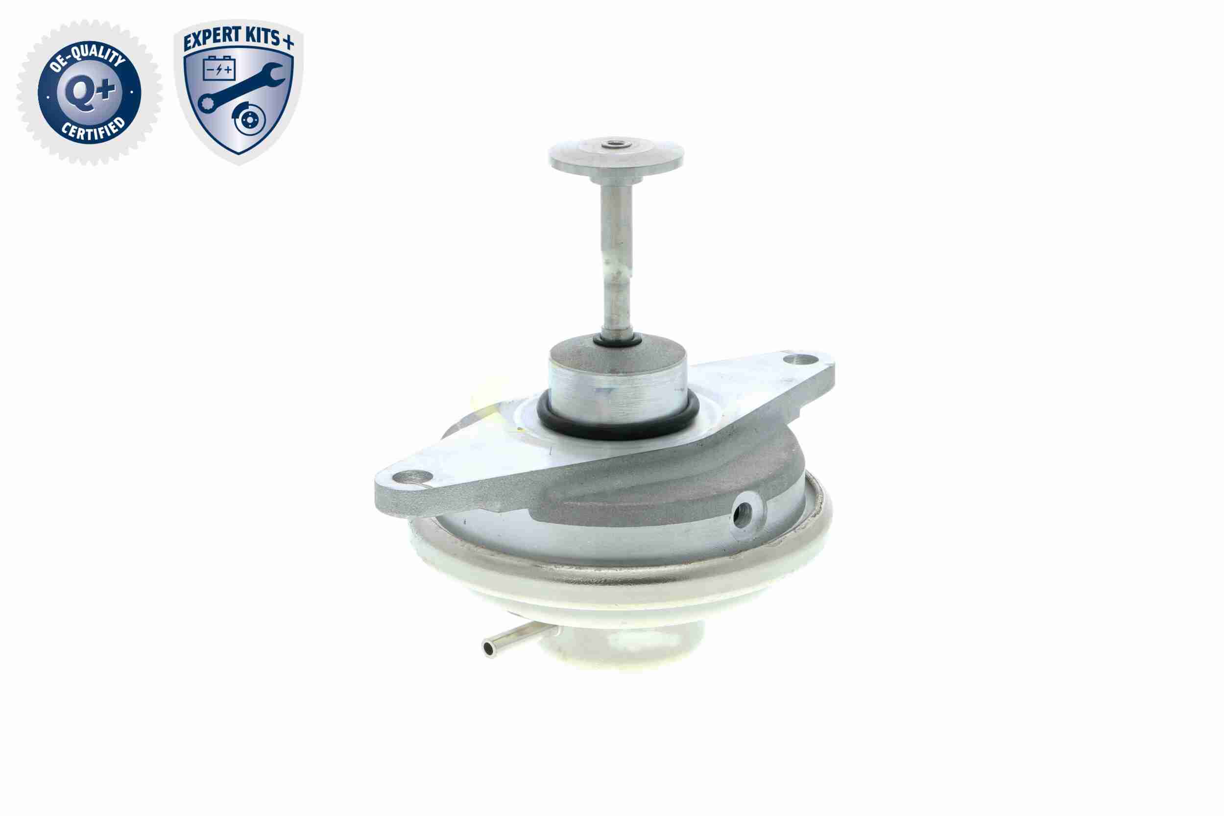 Vemo EGR-klep V40-63-0024-1