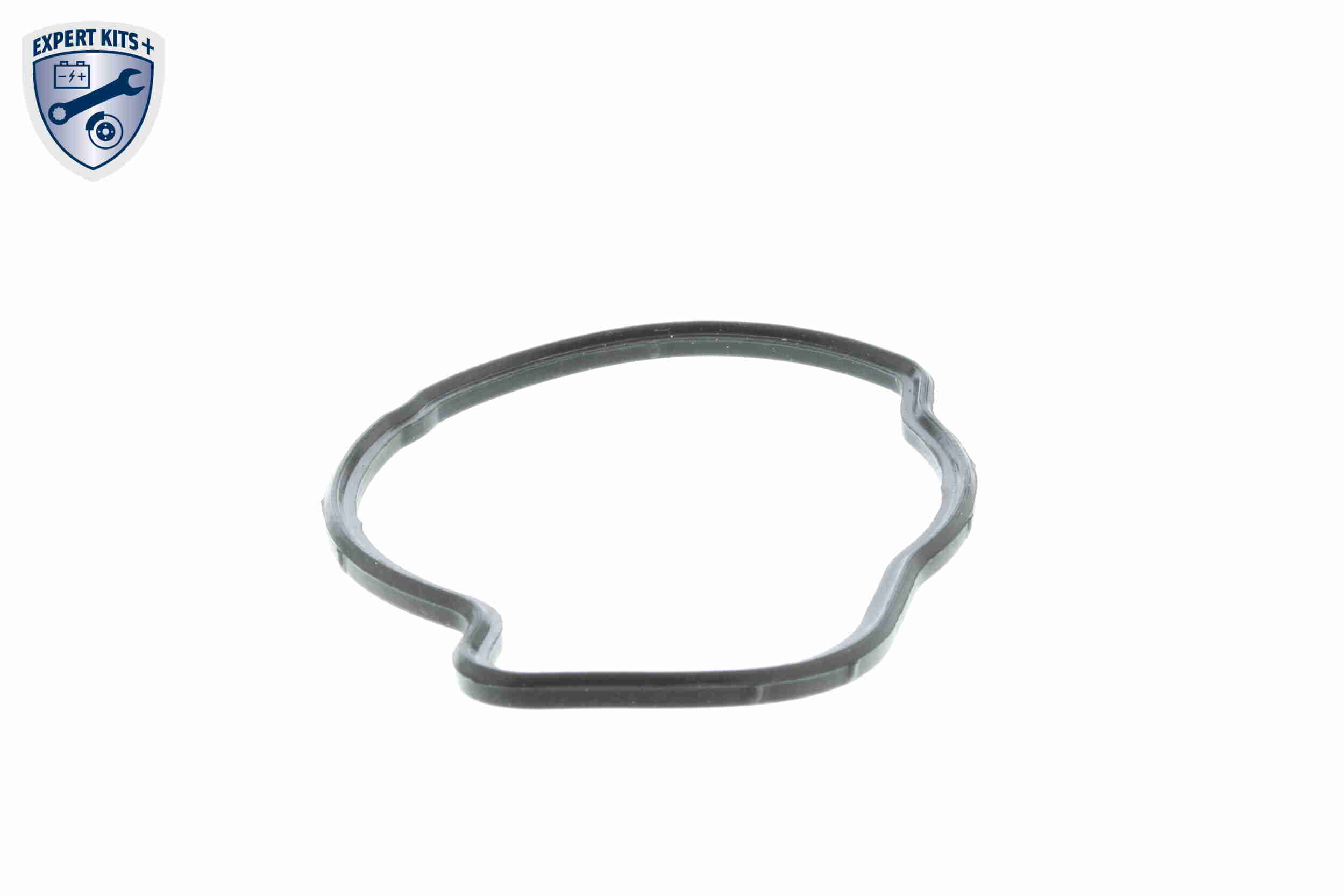 Vemo Thermostaathuis V40-99-0002