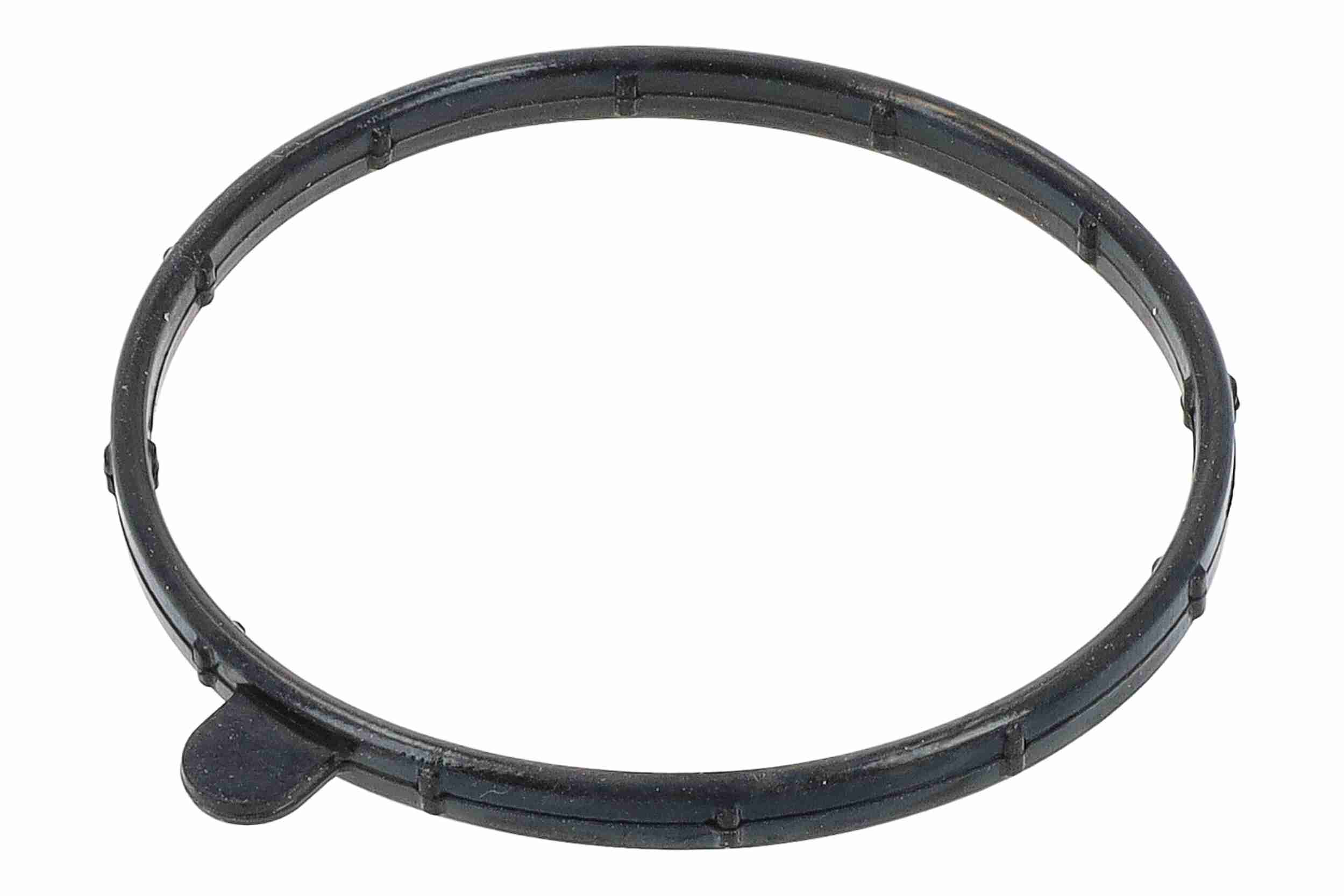 Vemo Thermostaathuis V46-99-0012