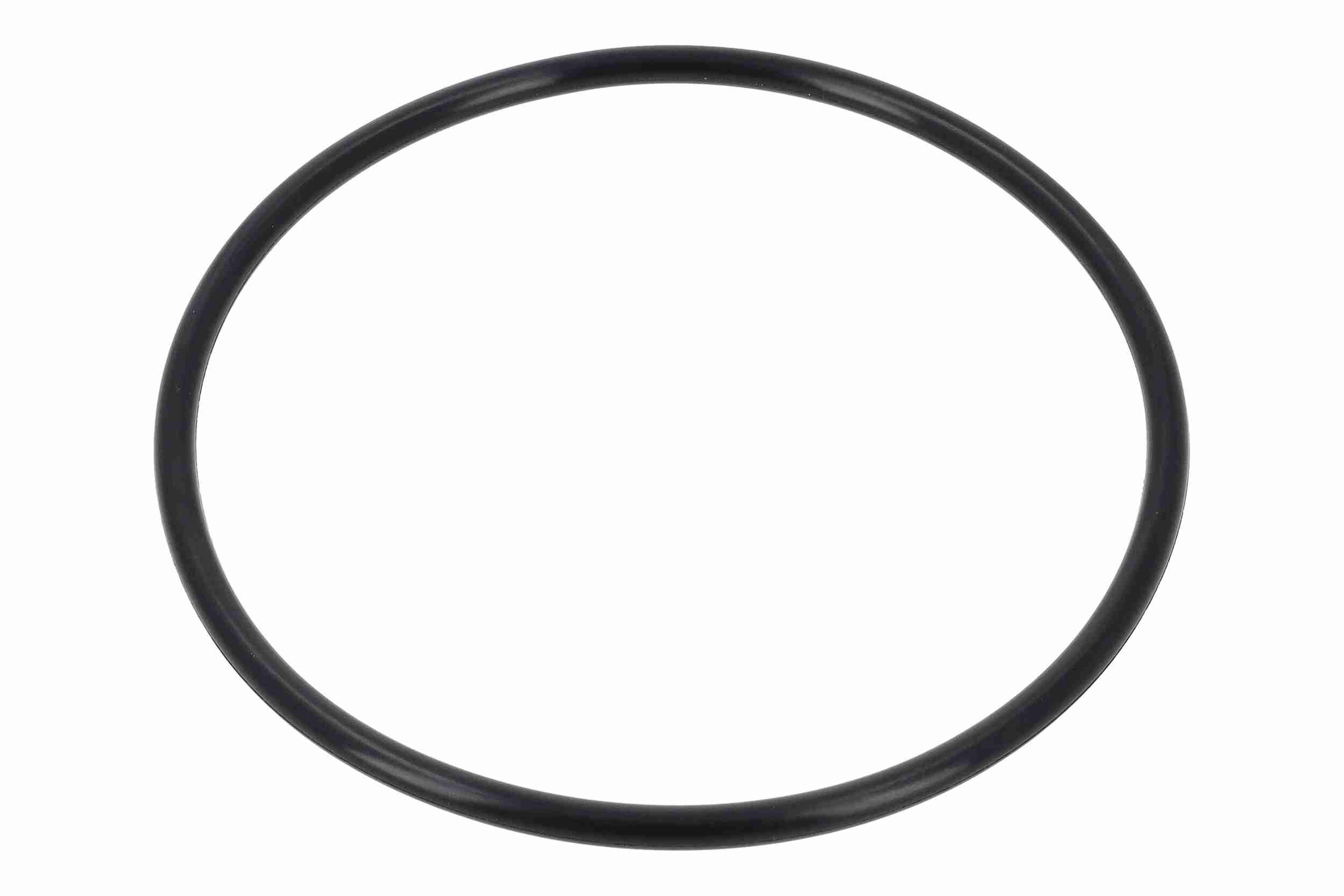 Vemo Brandstofpomp V51-09-0073