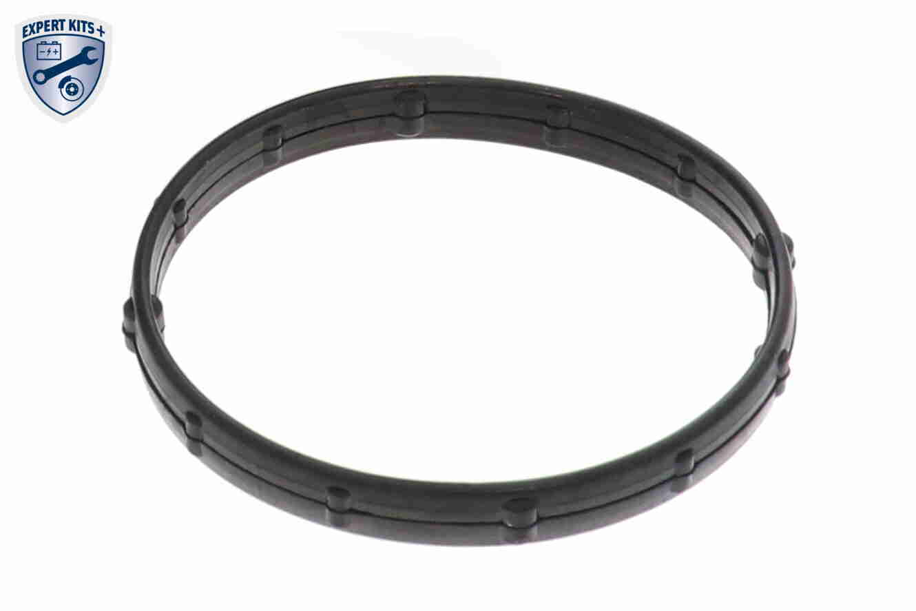 Vemo Thermostaathuis V57-99-0001