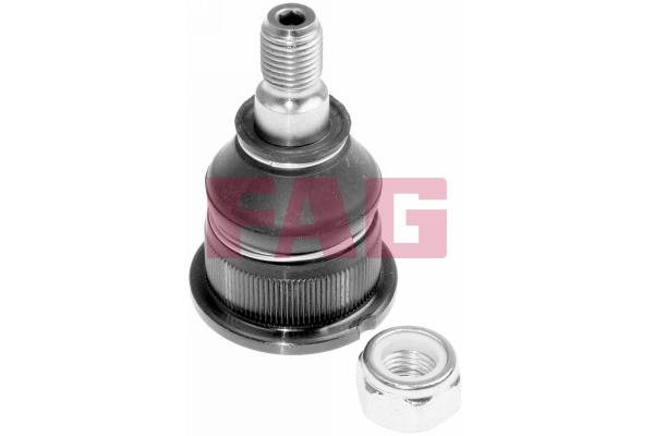 Fuseekogel FAG 825 0048 10