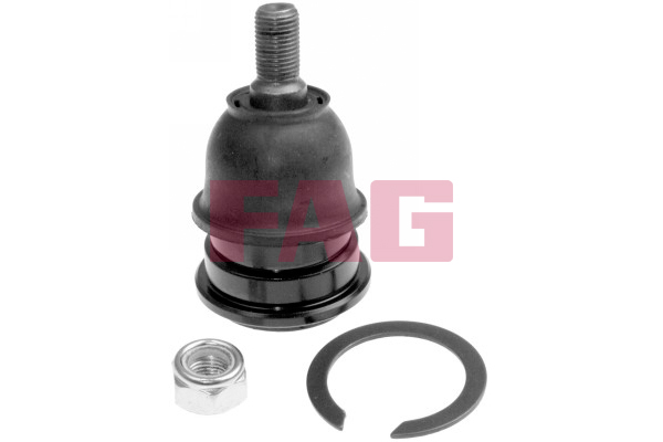 Fuseekogel FAG 825 0075 10
