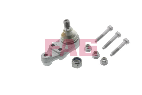 Fuseekogel FAG 825 0095 10
