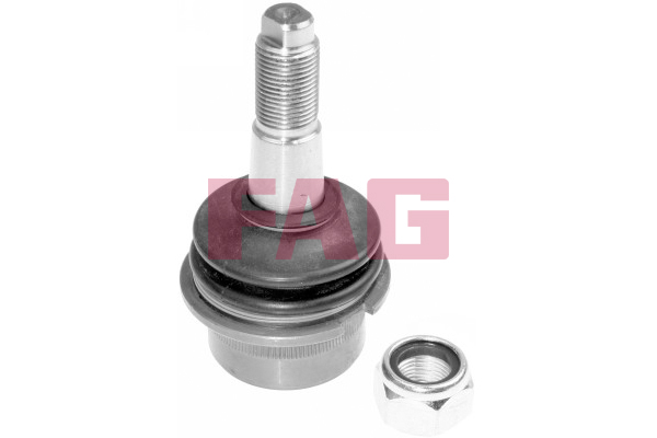 Fuseekogel FAG 825 0145 10