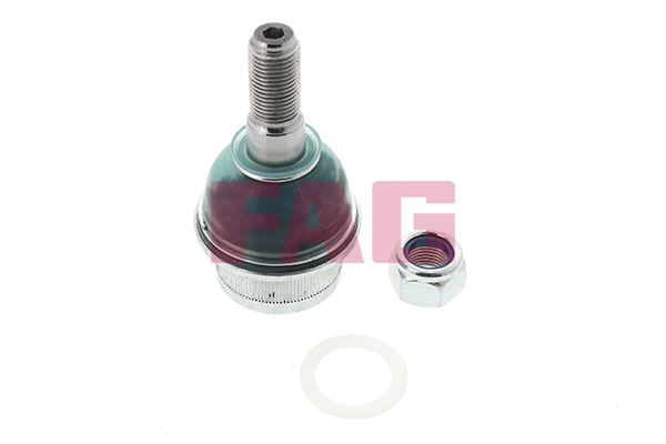 Fuseekogel FAG 825 0243 10