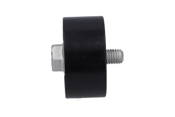 Kavo Parts Geleiderol (poly) V-riem DIP-3029