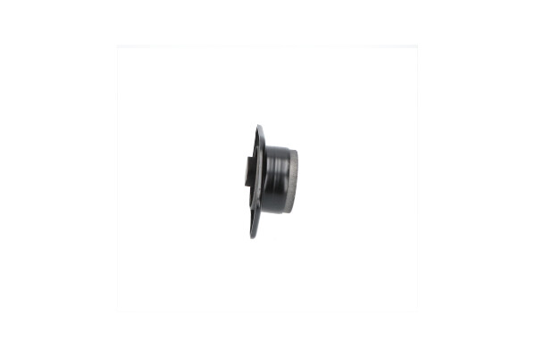 Kavo Parts Motorsteun EEM-5661