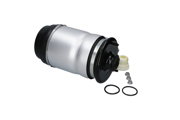 Kavo Parts Veer SAS-10033