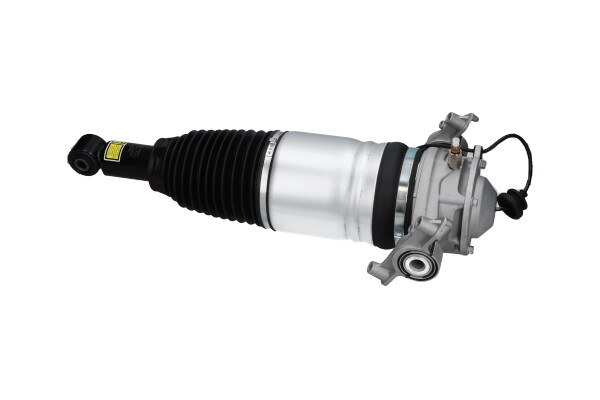 Kavo Parts Veerpoot lagerbus SAS-10041