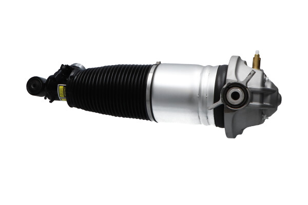 Kavo Parts Veerpoot lagerbus SAS-10043