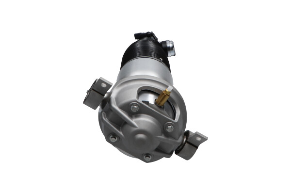 Kavo Parts Veerpoot lagerbus SAS-10043