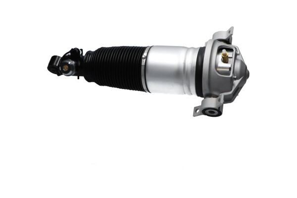 Kavo Parts Veerpoot lagerbus SAS-10047