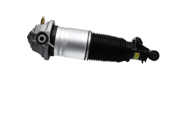 Kavo Parts Veerpoot lagerbus SAS-10047