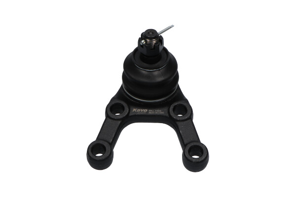 Kavo Parts Fuseekogel SBJ-5505
