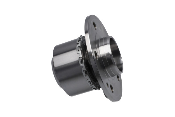 Kavo Parts Wiellagerset WBK-10038