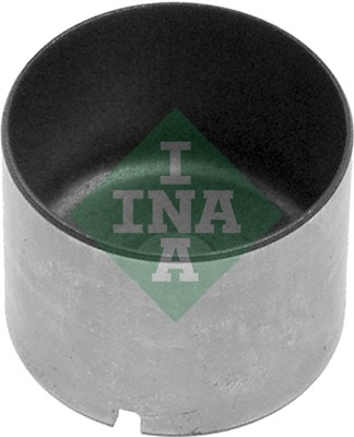 Klepstoter INA 421 0007 10