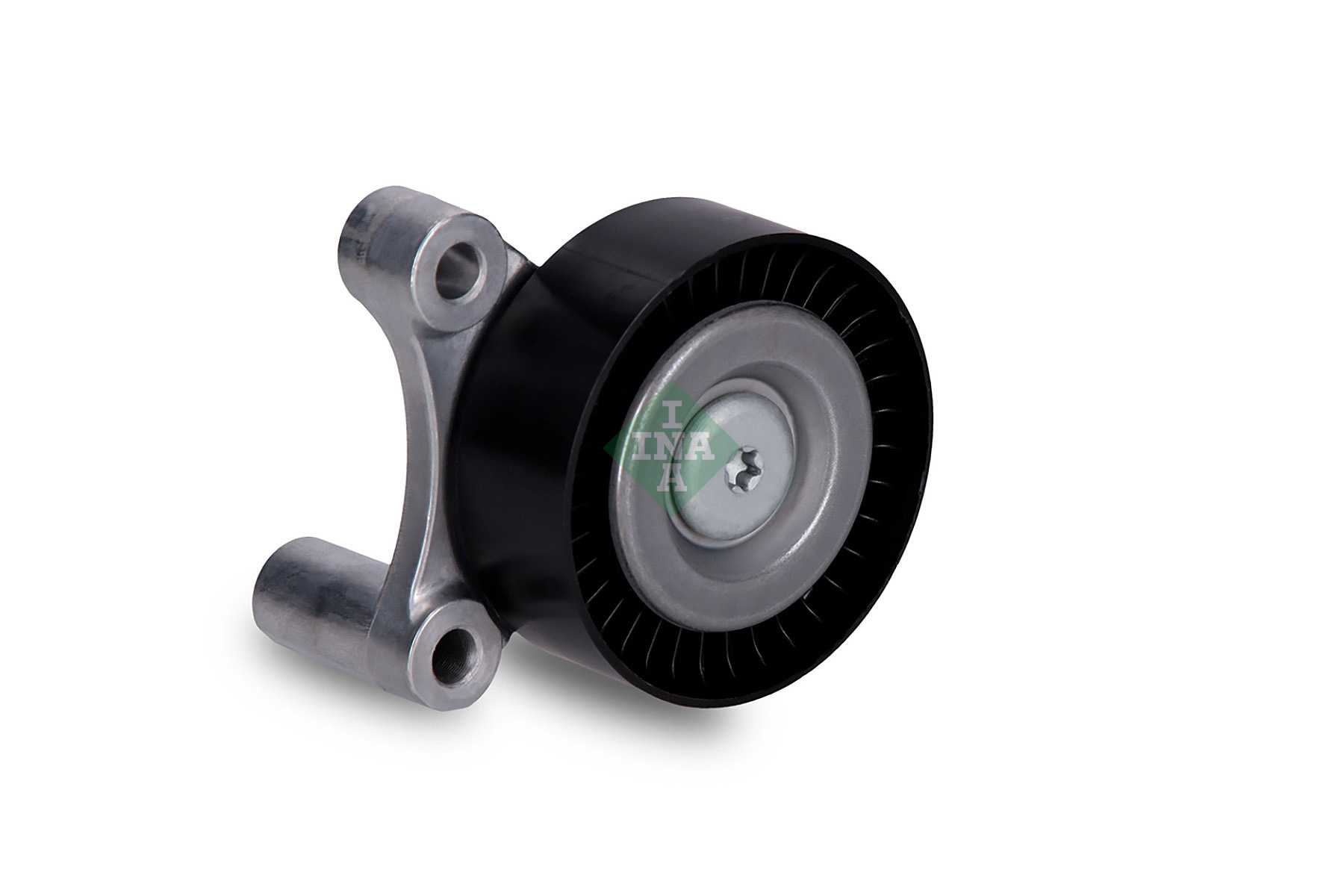 INA Geleiderol (poly) V-riem 532 1002 10