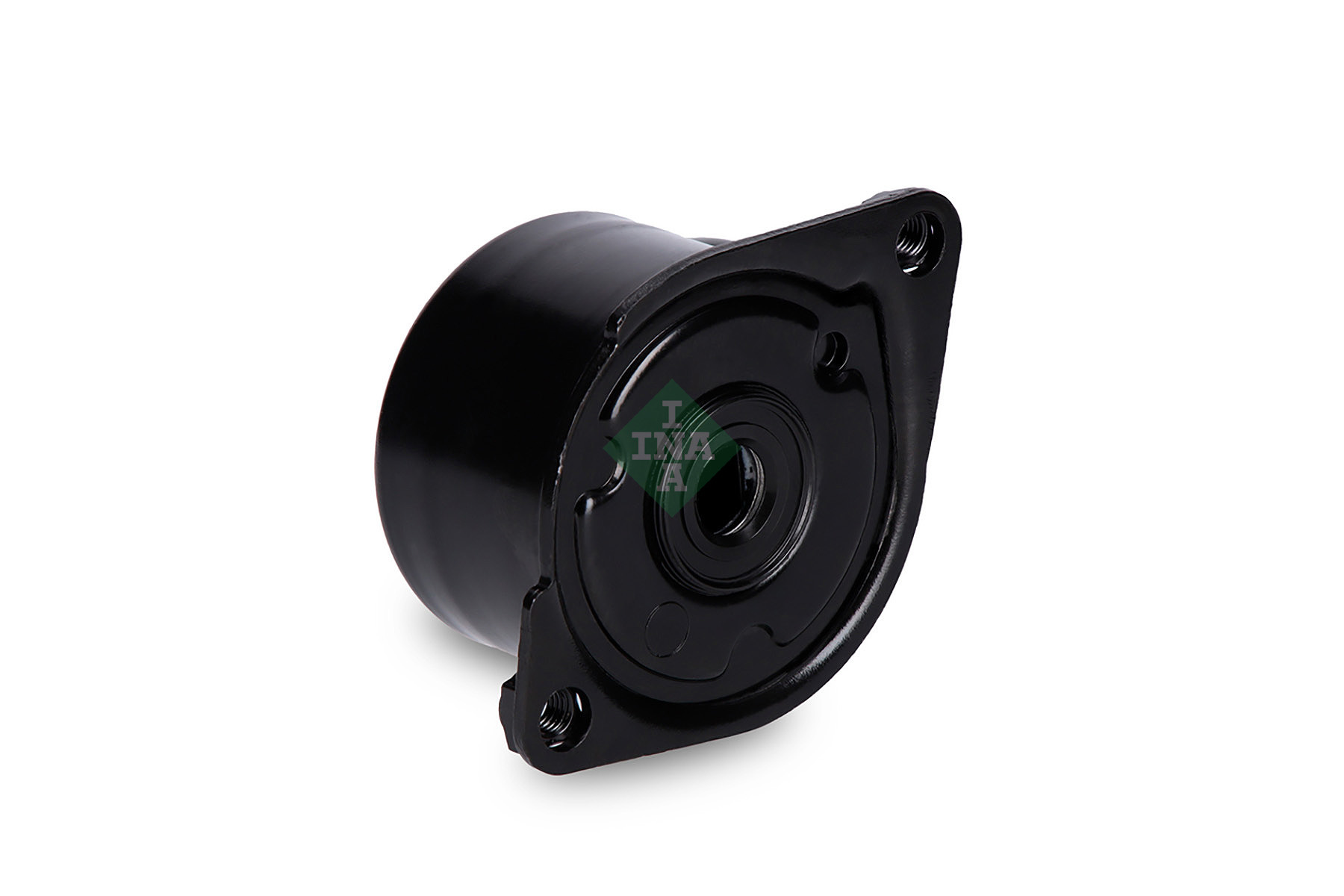 INA Spanner poly V-riem 534 0170 10