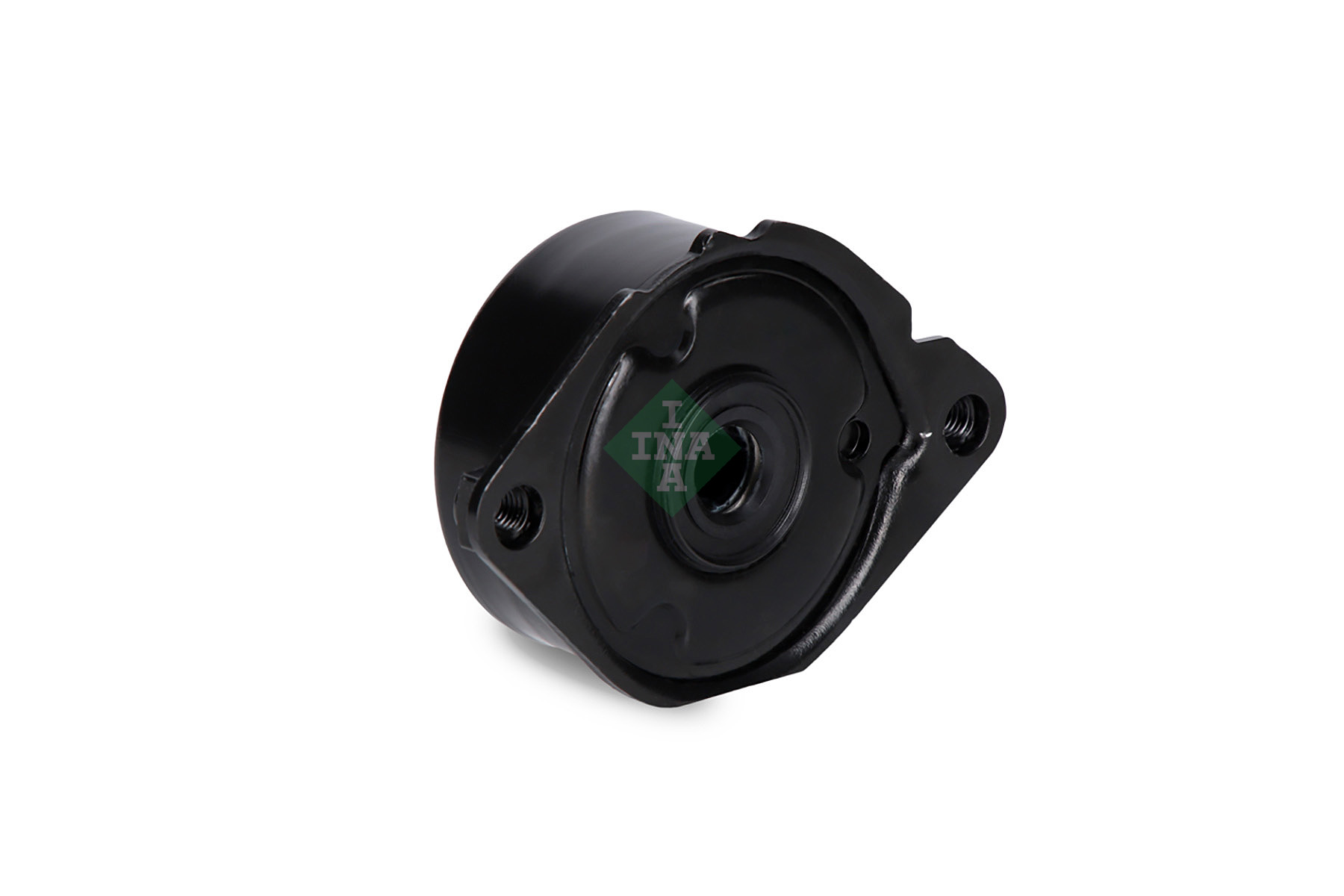 INA Spanner poly V-riem 534 0173 10