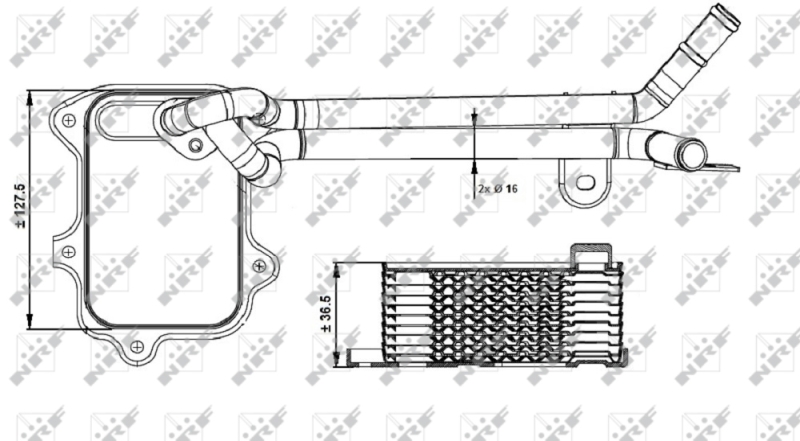 NRF Oliekoeler motorolie 31261